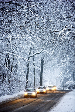 Driving in winter, vehicles on a cleared road in a snow-covered forest with falling snow, Essen, North Rhine-Westphalia, Germany, Europe