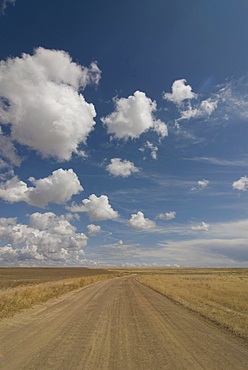 Dusty road in the steppe, Tamagaly Das, Kazakhstan, Central Asia