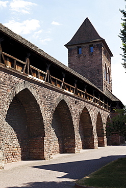 Historic city wall, Worms, Rhineland-Palatinate, Germany, Europe