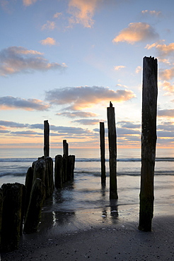 Groyne at sunrise on the beach of Juliusruh, Ruegen, Mecklenburg-Western Pomerania, Germany, Europe