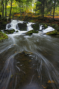 Waterfall in the Selketal valley in autumn, Harz mountain range, Saxony-Anhalt, Germany, Europe