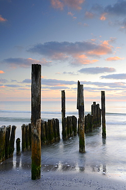 Groynes on a beach near Juliusruh, Rugia island, Mecklenburg-Western Pomerania, Germany, Europe