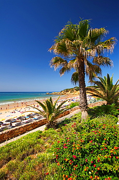 Santa Eulalia, Algarve, Portugal, Europe