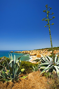 Praiha da Coelha, Algarve, Portugal, Europe