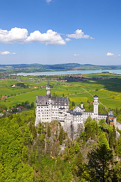 Schloss Neuschwanstein castle and Lake Forggensee, Fuessen, Allgau, Bavaria, Germany, Europe