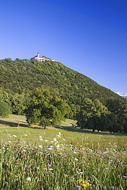 Burg Teck castle in Kirchheim, Swabian Alb, Baden-Wuerttemberg, Germany, Europe