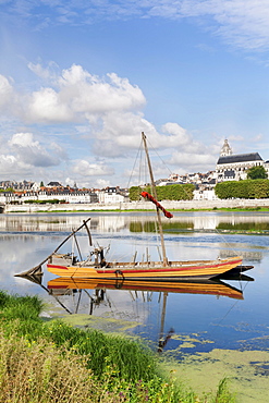 City view with cathedral, Blois, Departement Loir-et-Cher, Region Central, France, Europe