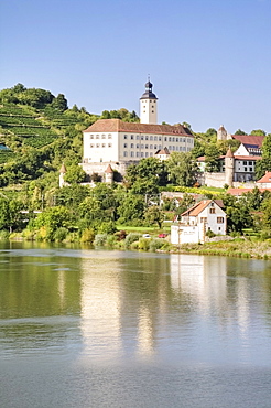 Schloss Horneck Castle above Gundelsheim am Neckar, Neckar River, Baden-Wuerttemberg, Germany, Europe