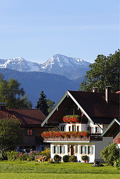 House in Lenggries-Anger in front of the Karwendel Mountains with Demeljoch Mountain, Isarwinkel, Upper Bavaria, Bavaria, Germany, Europe