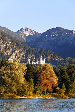 Neuschwanstein Castle overlooking Forggensee lake, Ammer Mountains, near Fussen, Ostallgaeu, Allgaeu, Swabia, Bavaria, Germany, Europe