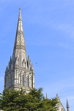 Salisbury Cathedral, Salisbury, Wiltshire, England, United Kingdom, Europe