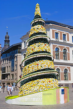 500th jubilee Christmas tree, Town Hall Square, Ratslaukums, old town, Vecriga, Riga, Latvia, Northern Europe