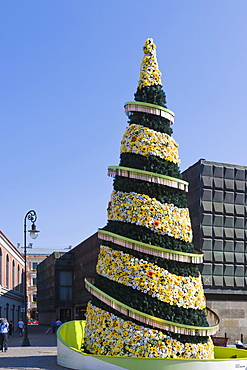 500th jubilee Christmas Tree, Town Hall Square, Ratslaukums, old town, Vecriga, Riga, Latvia, Northern Europe