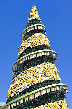 500th jubilee Christmas Tree, Town Hall Square, Ratslaukums, historic district, Vecriga, Riga, Latvia, Northern Europe