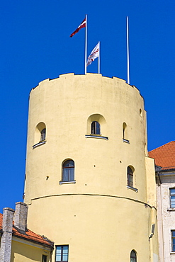 Rigas Pils, Riga Castle, 11 Novembra krastmala, historic district, Vecriga, Riga, Latvia, Northern Europe