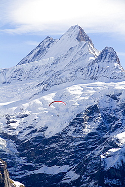 Schreckhorn mountain and a paraglider, Grindelwald, Bernese Oberland region, canton of Bern, Switzerland, Europe