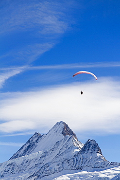 Schreckhorn mountain and a paraglider, Grindelwald, Bernese Oberland region, canton of Bern, Switzerland, Europe