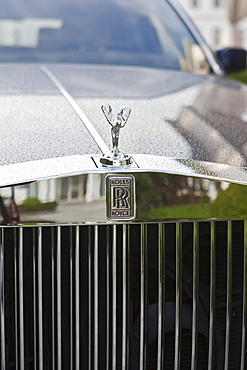 Rolls Royce, detail