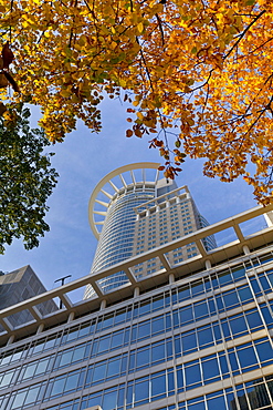 Westendstrasse 1 or Westendtower, Westend Tower, headquarters of the DZ Bank, Frankfurt, Hesse Germany, Europe