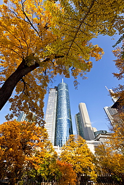 ECB, European Central Bank, HeLaBa Hessische Landesbank, Commerzbank, Japan Tower, autumn, Frankfurt am Main, Hesse, Germany, Europe