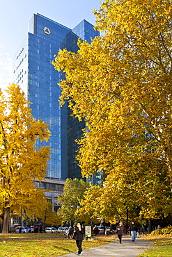 Dresdner Bank, autumn, Frankfurt am Main, Hesse, Germany, Europe