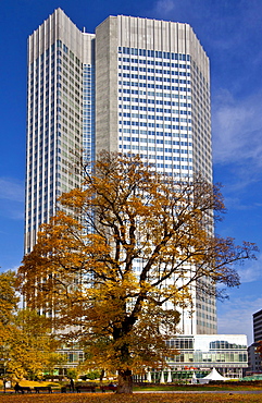 ECB, European Central Bank, autumn, Frankfurt am Main, Hesse, Germany, Europe