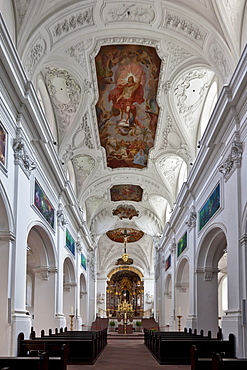 The Kollegiatstift Neumuenster collegiate church, Wuerzburg diocese, Kardinal-Doepfner-Platz square, Wuerzburg, Bavaria, Germany, Europe