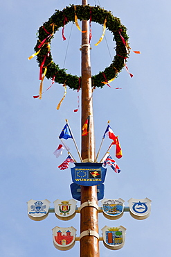 May pole at the Marienkapelle chapel, market place, Wuerzburg, Bavaria, Germany, Europe