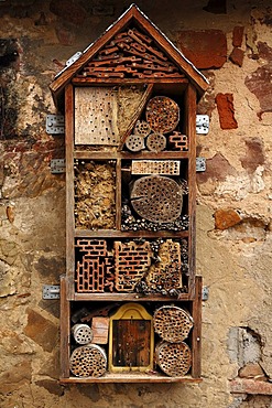 Nest box for insects, insect hotel, courtyard, St. Martin Church, Weismain, Upper Franconia, Bavaria, Germany, Europe