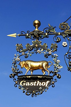 Hanging sign with a golden ox of the Gasthof "Zum Ochsen" restaurant, Endingerstrasse 12, Koenigschaffhausen am Kaiserstuhl, Baden-Wuerttemberg, Germany, Europe