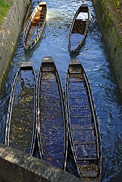 Old fishing boats full of water at anchor on the Danube, Ulm, Baden-Wuerttemberg, Germany, Europe