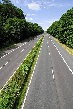 Autobahn, empty highway through the Frankfurter Stadtwald woods, Frankfurt am Main, Hesse, Germany, Europe