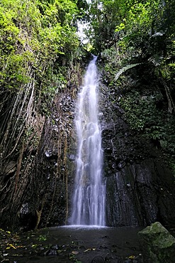 Waterfall, Dark View Falls, Saint Vincent, Caribbean