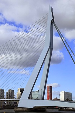 Cable-stayed bridge Erasmusbrug or Erasmus bridge, pylon, Kop van Zuid, Rotterdam, Holland, Netherlands, Europe