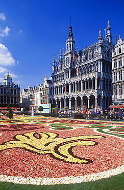 Carpet of flowers on the Grote Markt square, also called Grand Place square, Maison du Roi building, also known as Breadhouse, which accommodates the municipal museum, Brussels, Belgium, Europe