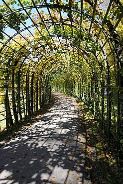 Arcade, Schlosspark Gardens, Schloss Linderhof Palace, Graswangtal, Bavaria, Germany, Europe