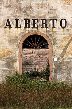 Entrance door of abandoned farmhouse with inscription "Alberto", near Bolgheri, Tuscany, Italy, Europe