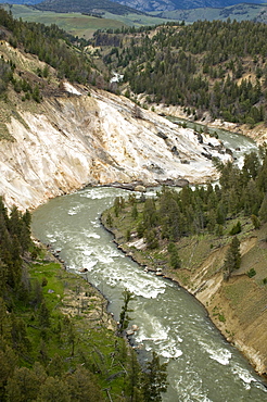 Yellowstone River near Tower Fall, Yellowstone National Park, Wyoming, USA, North America