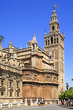 Giralda, church, Cathedral Santa Maria, Sevilla, Andalucia, Andalusia, Southern Spain, Europe