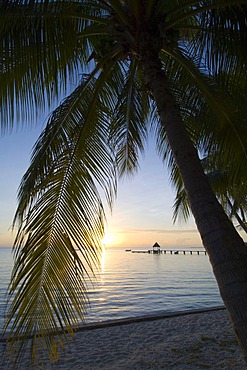 Rangiroa atoll, Tuamotu Archipelago, French Polynesia, Pacific Ocean