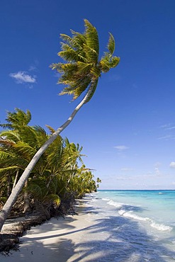 Beach, Fakarava, Havaiki-te-araro, Havai'i or Farea atoll, Tuamotu Archipelago, French Polynesia, Pacific Ocean