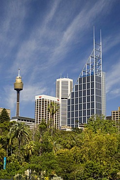 Royal Botanic Gardens, Sydney, New South Wales, Australia