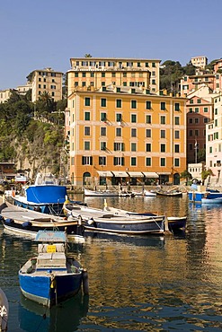 Harbour, Camogli, Liguria, Italy, Europe