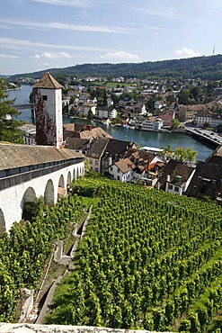 Munot overlooking the Rhine, city of Schaffhausen, Switzerland, Europe