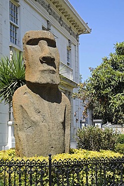 Moai, Easter Island statue, Fonck Museum, natural history museum, archaeological museum, Vina del Mar, Chile, South America