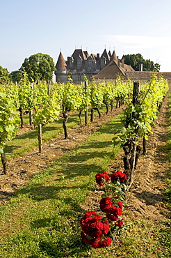 Chateau de Monbazillac near Bergerac, Departement Dordogne, Region Aquitaine, France, Europe