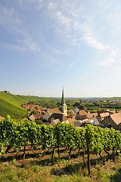 Escherndorf on the Main, Lower Franconia, Bavaria, Germany, Europe