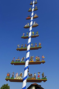 May pole, Otting, Waging am See, Upper Bavaria, Bavaria, Germany, Europe