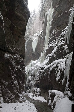 Icicles and snow at the natural landmark Partnach Klamm Gorge, valley, Garmisch-Partenkirchen, Oberbayern region, Upper Bavaria, Bavaria, Germany, Europe