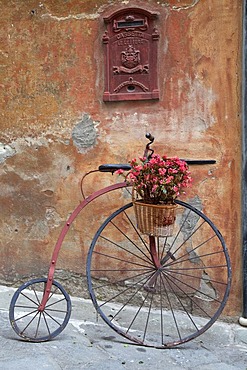 Historic bicycle with a flower pot, Savona, Riviera, Liguria, Italy, Europe